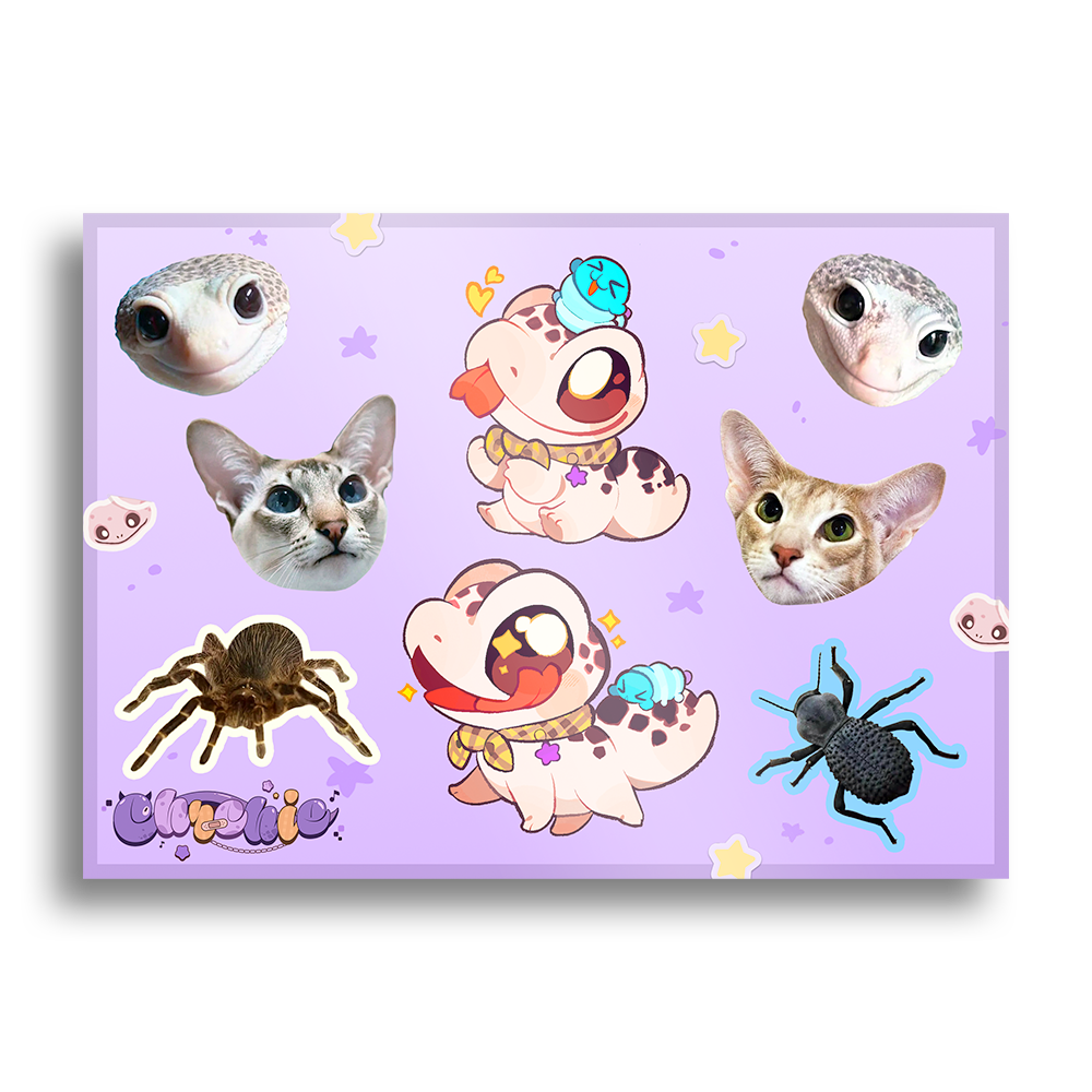 Chrchie | Absolute Goober Collection - Bundle